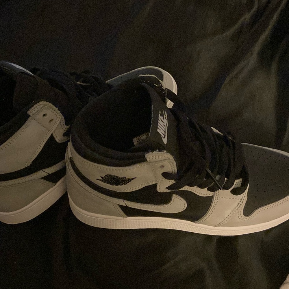 Air Jordan 1s - Shadow - High tops